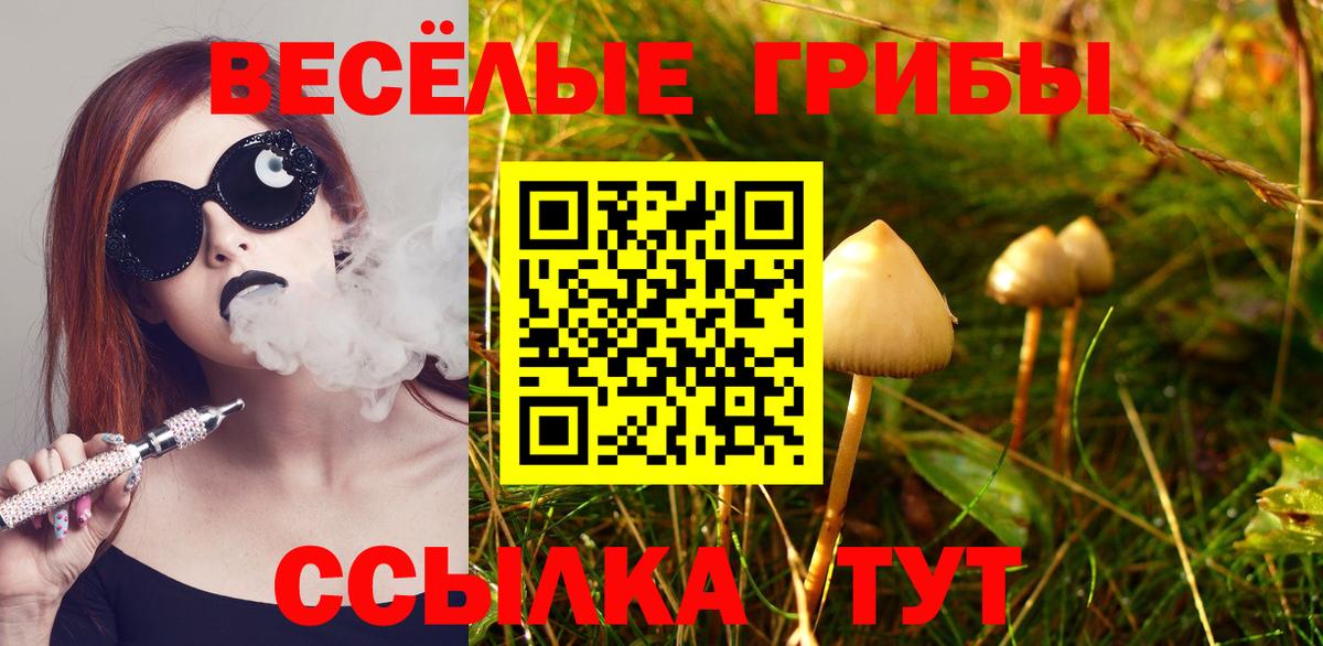 Псилоцибиновые грибы мухоморы  Вход с VPN  Трёхгорный  Псилоцибиновые грибы прущие грибы 